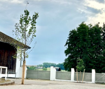baume.jpg?nc=1755776597