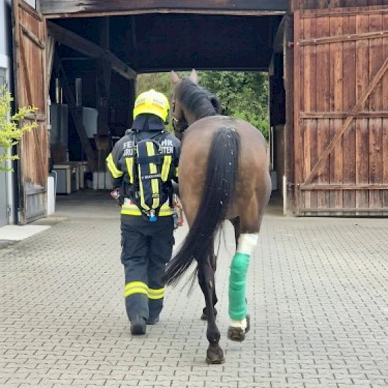 Feuerwehrübung in unserer Pferdeklinik