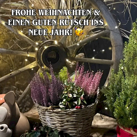 🐎 Jahresrückblick – Danke für ein besonderes Jahr 2️⃣0️⃣2️⃣5️⃣💙